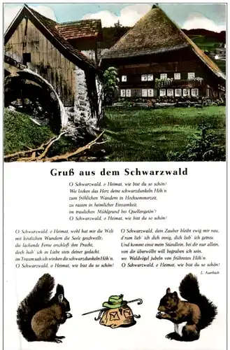 Gruss aus dem Schwarzwald -108342
