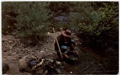 Gold panning along the American River -108226