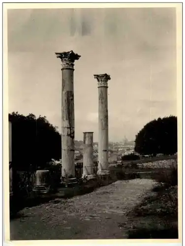 Roma - Palasin Blick auf St. Peter - Photo -107532