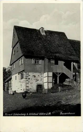 Schömberg bei Wildbad - Bauernhaus -51472