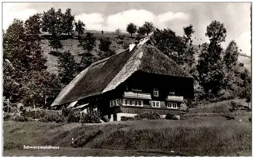 Schwarzwaldhaus -108742