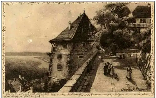 Tübingen - Schloss mit Berglinde Charles F. Flower -108784