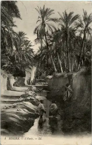 Biskra - L Oasis -51752