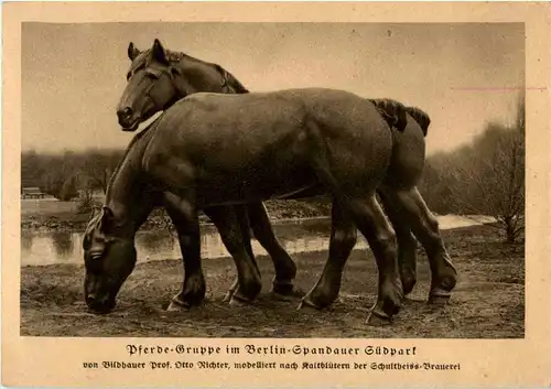 Spandau - Südpark - Pferde Gruppe -52012