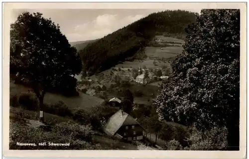 Neuenweg Schwarzwald -109170