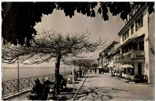 Meersburg Seepromenade -109218