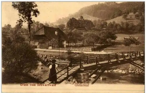 Gruss vom Schwarzwald Gutachtal -109440