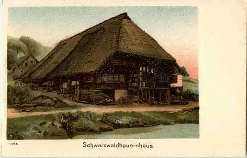 Schwarzwald - Bauernhaus -52992