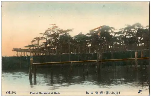 Pine of Karasaki at Omi -109998