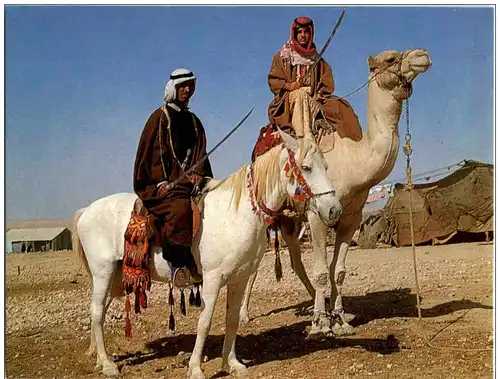 Beduin Horsemen Camel -110676