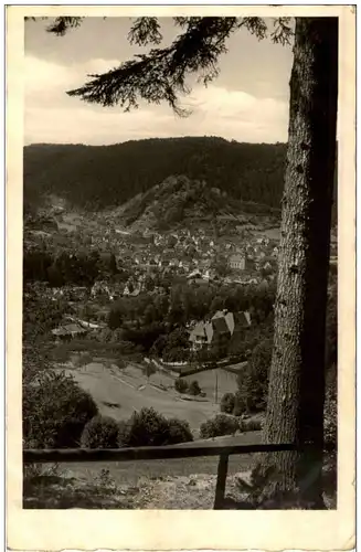 Bad Liebenzell - Blick vom Kaffeehof -111418