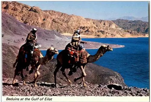 Bedouins at the Gulf of Eilat camel -110656