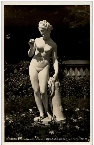 Wildbad - Venus im Otto Kuhn Garten -111500