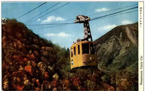 Suspension Cable Car -110060