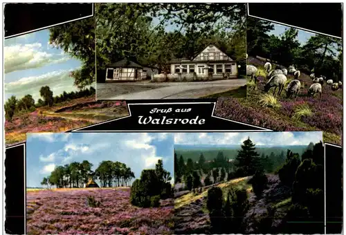 Gruss aus Walsrode -111100