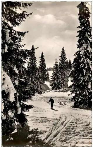 Skiparadies im Hochschwarzwald - Skifahren -111290