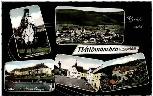 Gruss aus Waldmünchen -110520