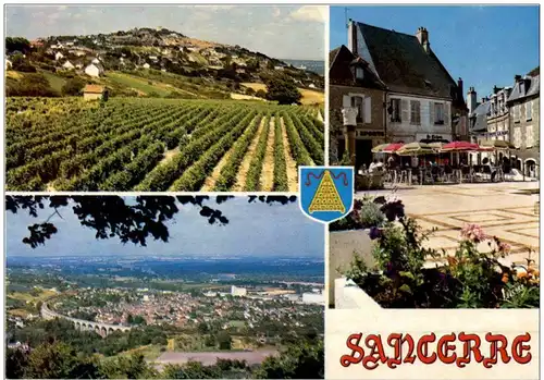 Sancerre -110684