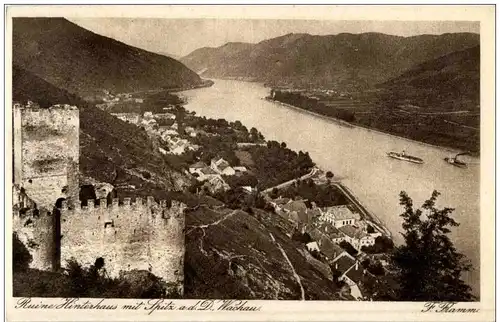 Wachau - Ruine Hinterhaus -111592