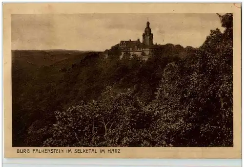 Burg Falkenstein im Harz -112546