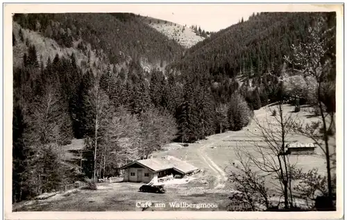 Rottach Egern - Cafe am Wallbergmoos -111974