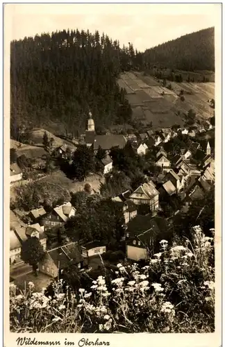 Wildemann im Oberharz -112908
