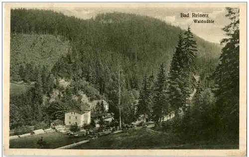 Bad Reinerz - Waldmühle -112898