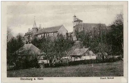 Ilsenburg am Harz - Fürstl Schloss -112902