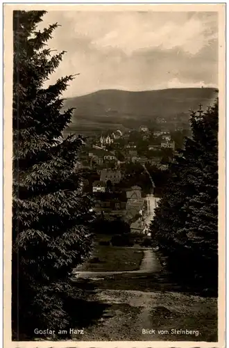 Goslar am Harz - Blick vom Steinberg -112922