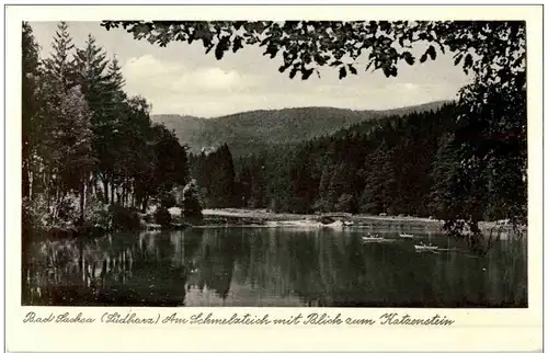 Bad Sachsa - Am Schmelzteich -112940