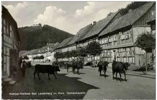 Bad Lauterberg - Damenkapelle -113002