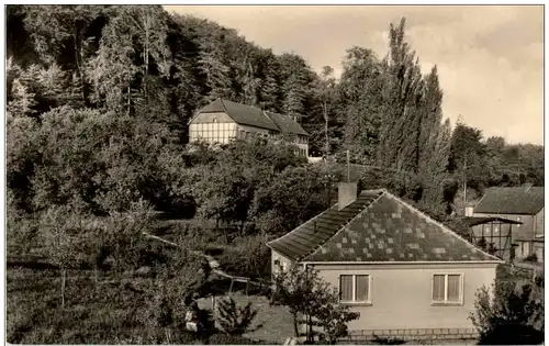 Bleicherode - Waldhaus Japan -113042