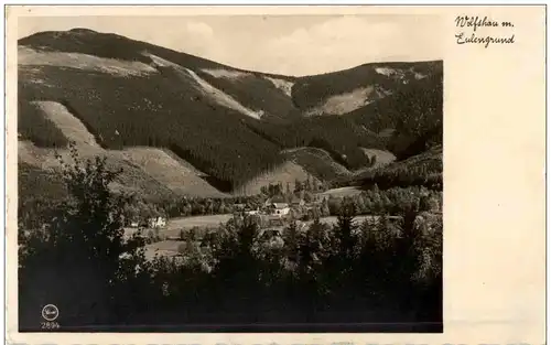 Wolfshau mit Eulengrund -113134