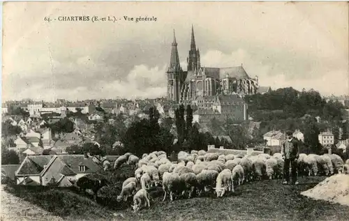 Chartres -56590