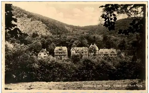 Ilsenburg - Villen am Buchberg -113024