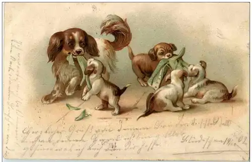 Hunde - Prägekarte Litho -113826