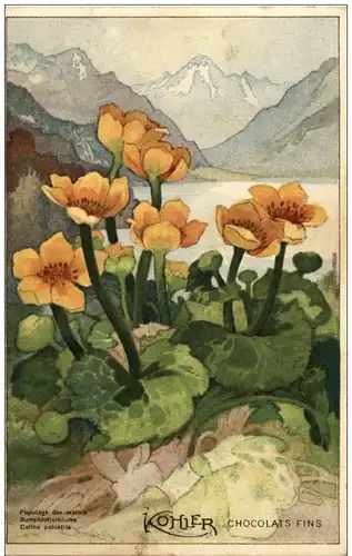 Kohler Chocolats - Werbung -113624
