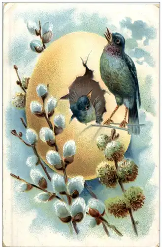 Vögel Litho Prägekarte -113734