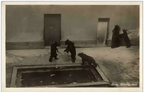 Bern - Bärengraben -114630