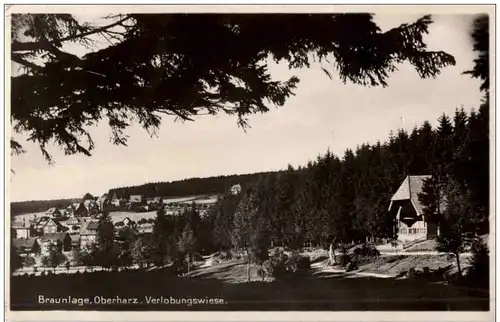 Braunlage im Harz - Verlobungswiese -112858