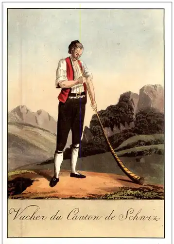 Vacher du Canton de Schwiz -114766