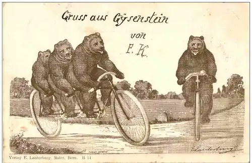 Bern - Bär Fahrrad -114618