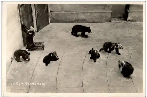 Bern - Bärengraben -114632