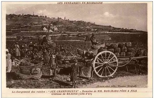 Chateau de Beaune - Aux Champimonts - Wein Wine -114406