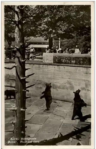Bern - Bärengraben -114654
