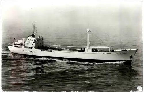 MS Calanca -113566