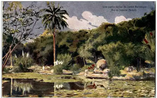Rio de Janeiro - Une partie du lac du Jardin Botanique -115648