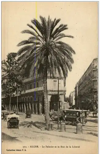 Alger - Le Palmier -115252