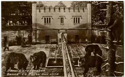 Bern - Bärengraben -114666