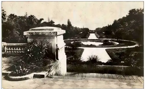 Alger - JArdin d essai -115228